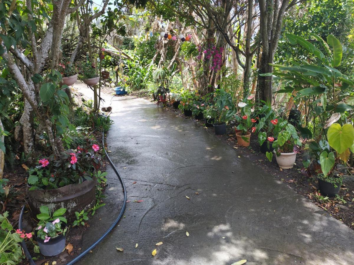 Ker L'Ilet Bed & Breakfast Cilaos Ngoại thất bức ảnh