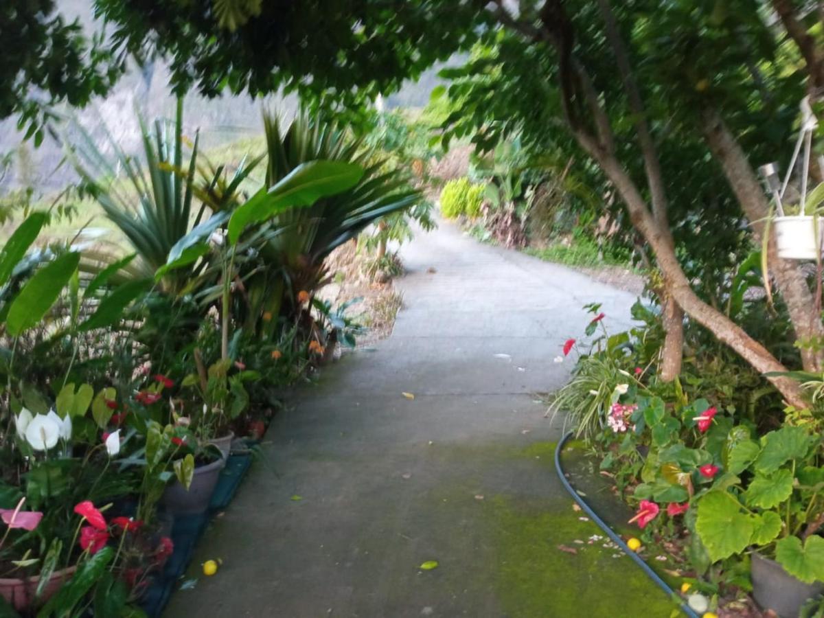 Ker L'Ilet Bed & Breakfast Cilaos Ngoại thất bức ảnh
